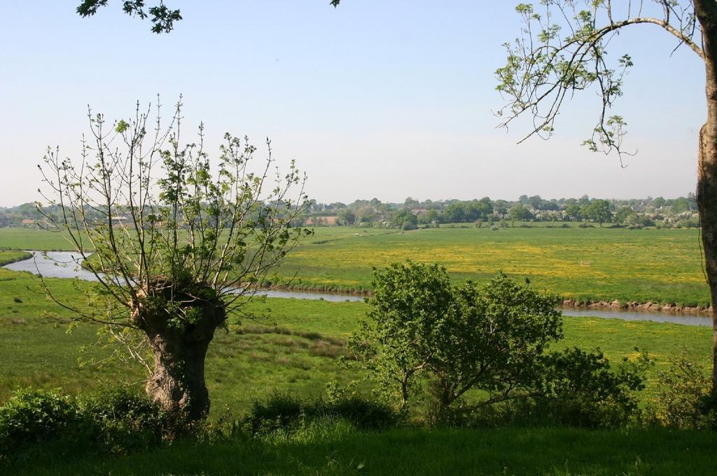 Gite Marguerite Les Moitiers-en-Bauptois ภายนอก รูปภาพ