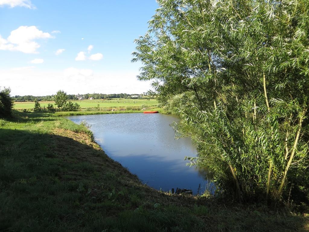 Gite Marguerite Les Moitiers-en-Bauptois ภายนอก รูปภาพ