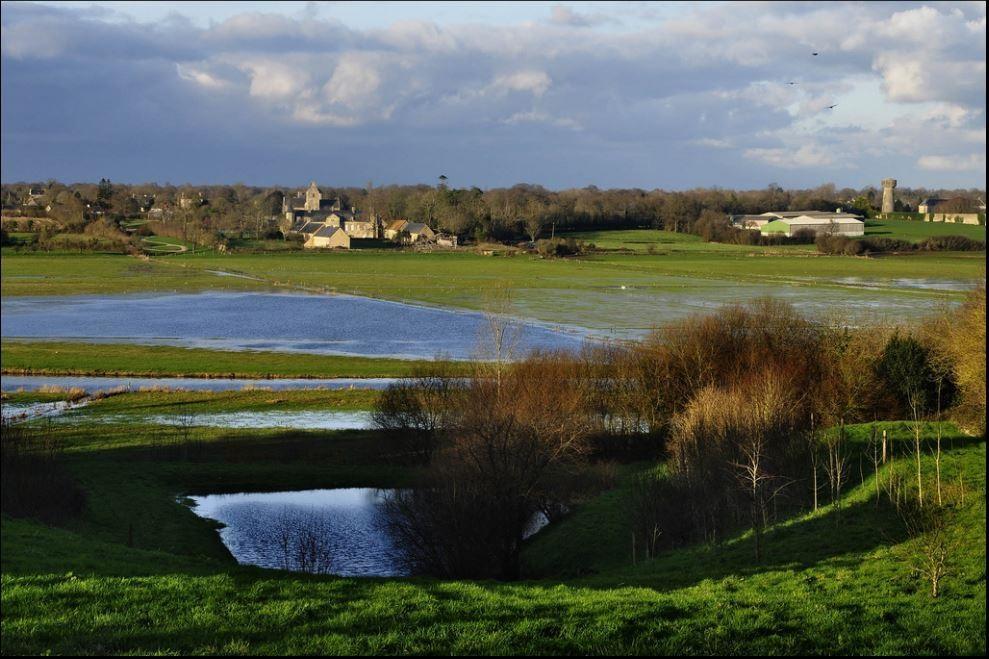 Gite Marguerite Les Moitiers-en-Bauptois ภายนอก รูปภาพ